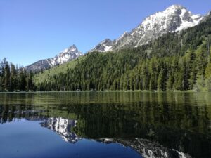 中洲で楽しむ水炊きの個室ディナーはどこがおすすめ？