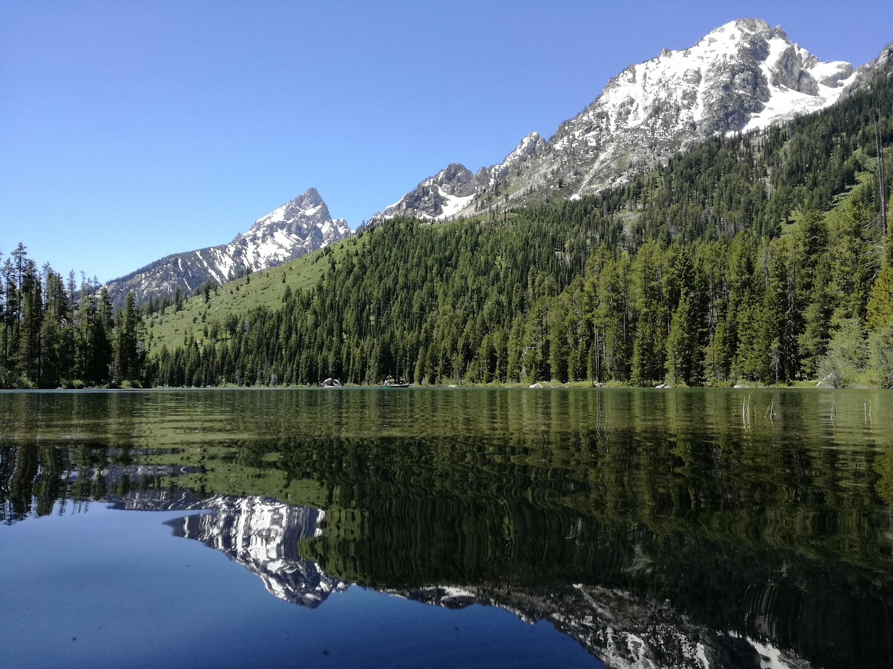中洲で楽しむ水炊きの個室ディナーはどこがおすすめ？