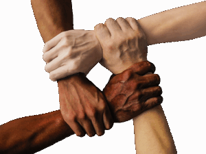 中洲で楽しむ水炊きの飲み放題はどこがおすすめ？