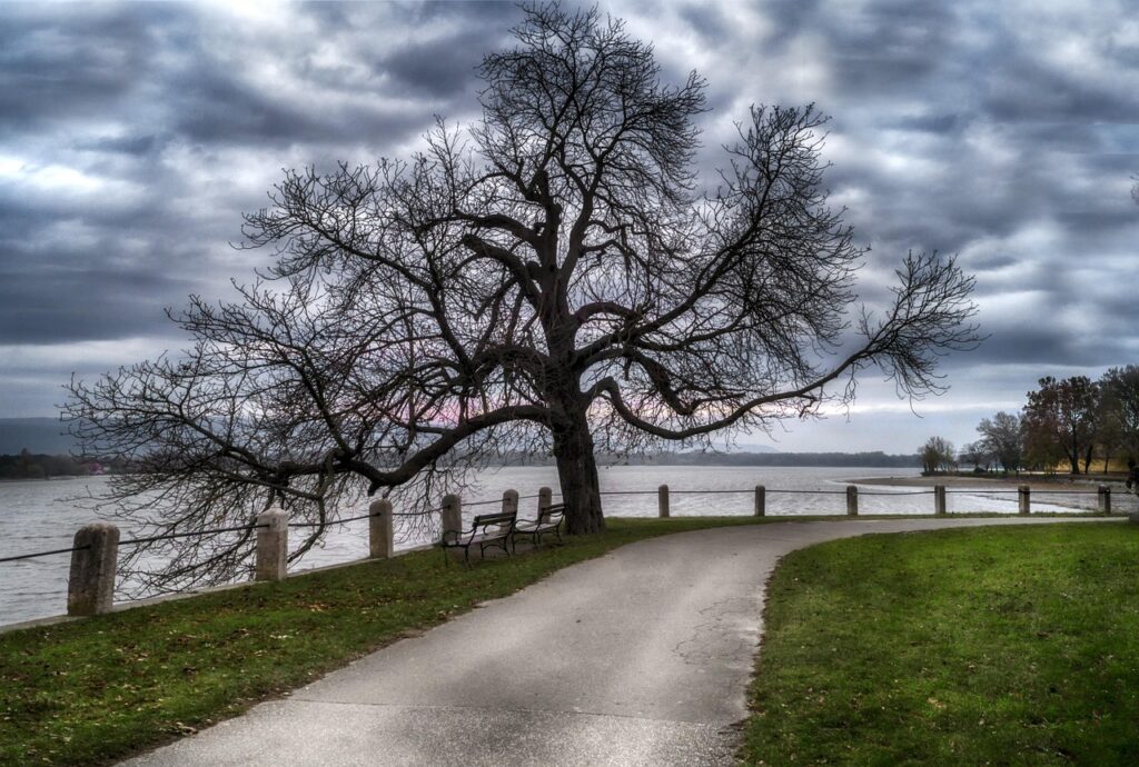 中洲でおしゃれなバーでの一人飲みを楽しむ方法は？