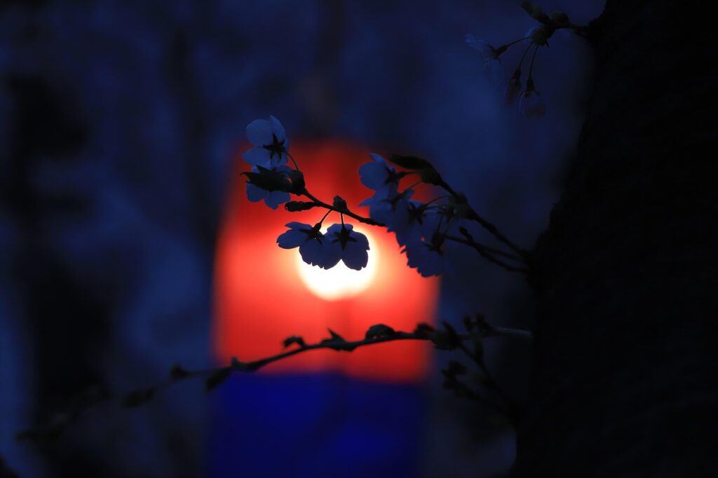 中洲で楽しむ焼肉と夜景のデートスポットは？