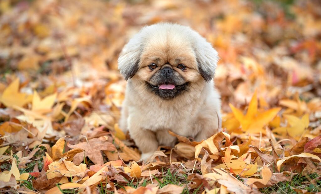 天神でコスパ良い居酒屋はどこ？
