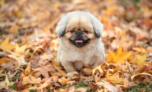 天神でコスパ良い居酒屋はどこ？