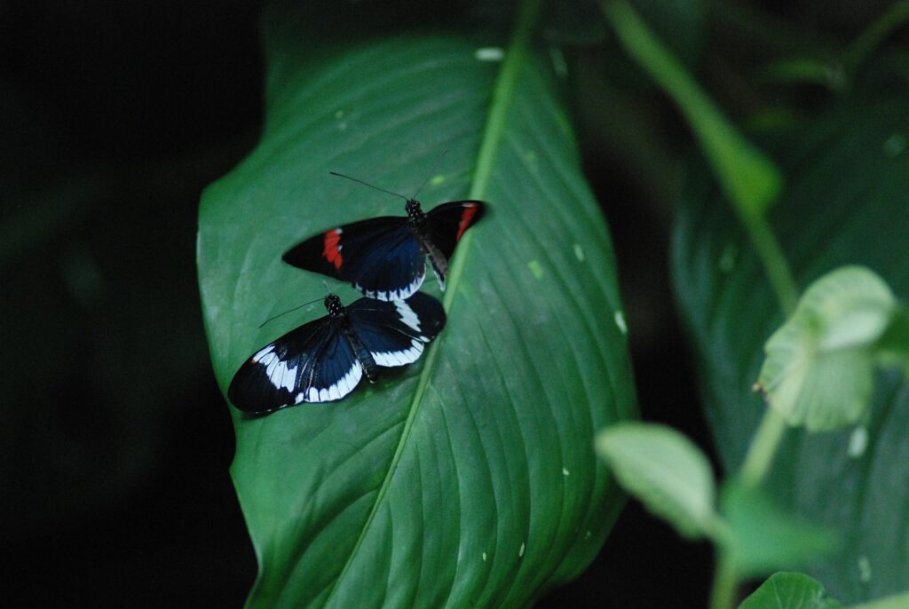 博多でおひとり様におすすめのイタリアンは夜10時以降に行ける？