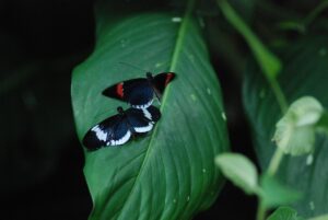 博多でおひとり様におすすめのイタリアンは夜10時以降に行ける？