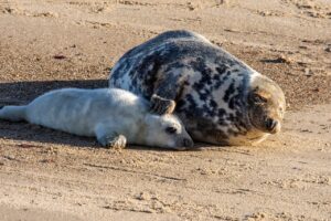 博多の座敷居酒屋で深夜に楽しむおすすめメニューは？